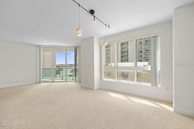 carpeted empty room with plenty of natural light and rail lighting