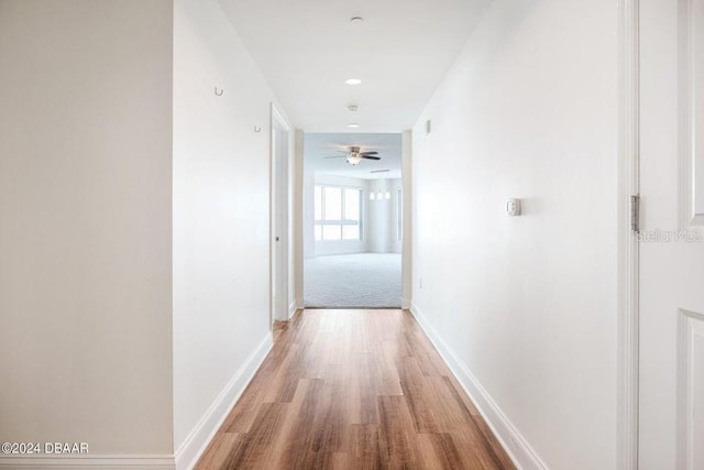 hallway with wood-type flooring