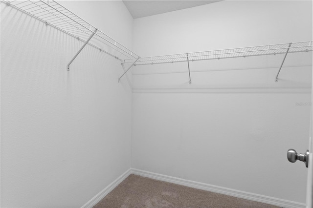 walk in closet with carpet