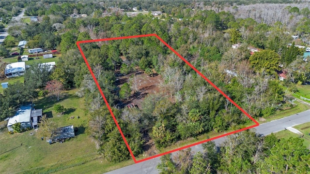 1520 8th St, Orlando, FL 32820 - photo 3