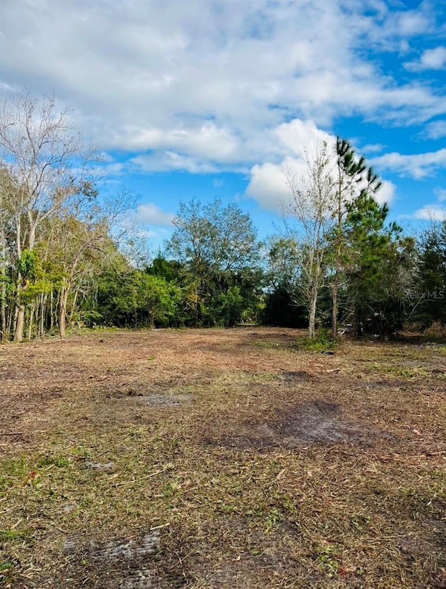1520 8th St, Orlando, FL 32820 - photo 5