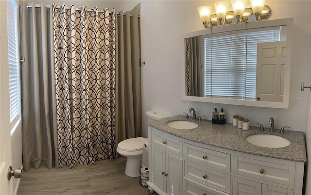 bathroom with hardwood / wood-style floors, vanity, and toilet