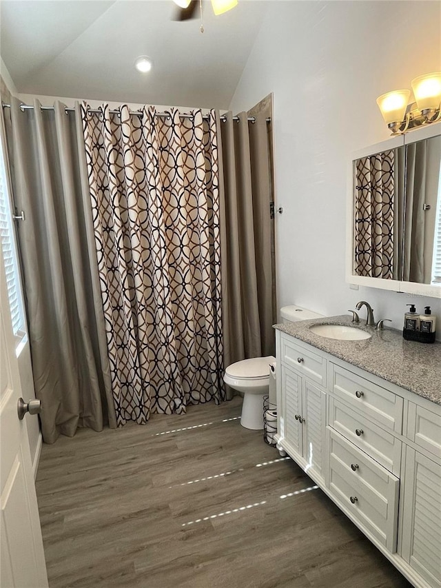 bathroom featuring vanity, hardwood / wood-style flooring, and lofted ceiling