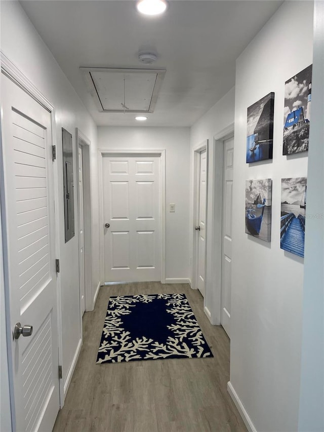 hallway with wood-type flooring and electric panel