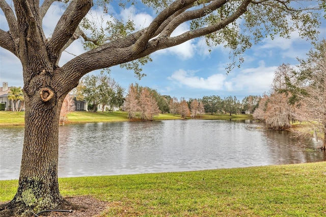 view of water feature