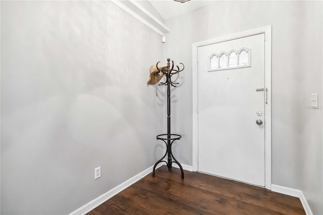 foyer entrance featuring dark wood-type flooring