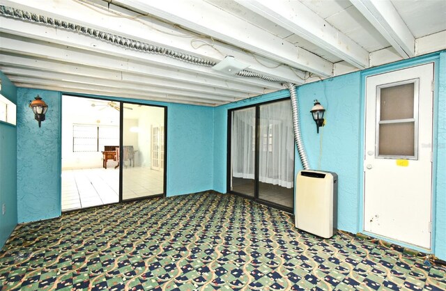 basement featuring carpet