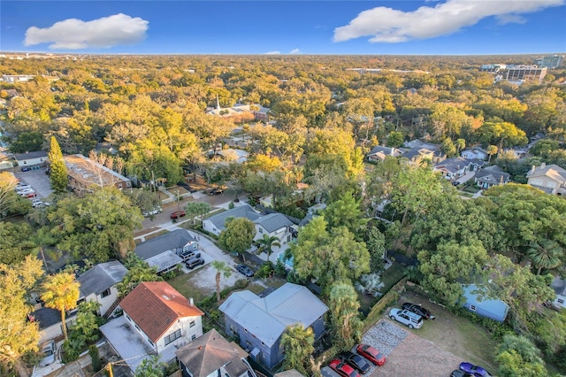 bird's eye view