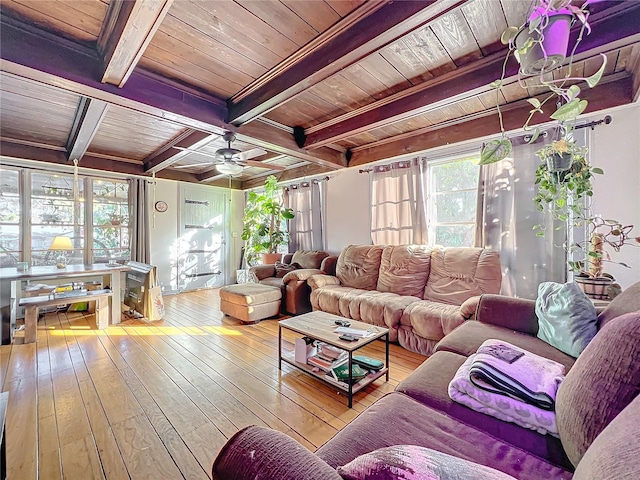 living room with ceiling fan, beamed ceiling, wooden ceiling, and wood-type flooring