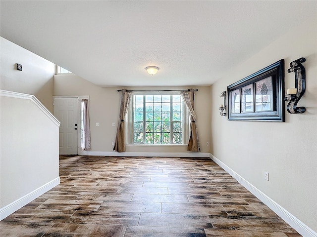 entrance foyer featuring wood-type flooring