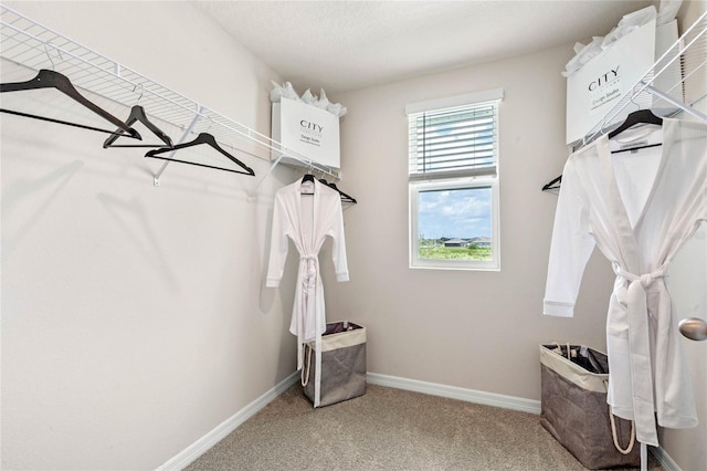 spacious closet with carpet floors