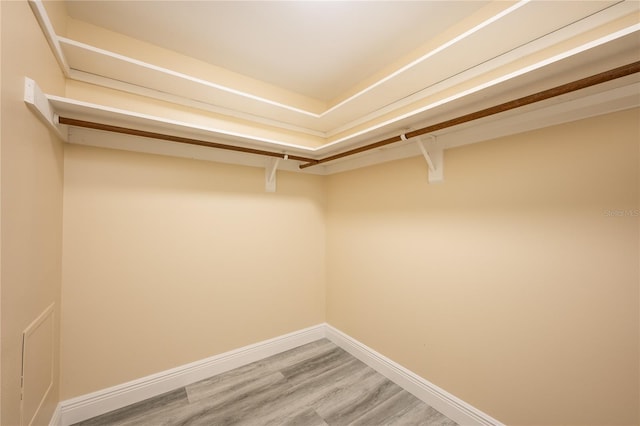 spacious closet featuring hardwood / wood-style flooring