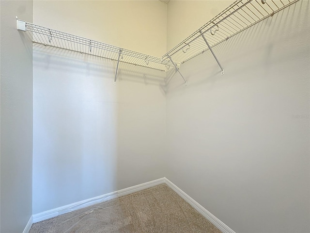 walk in closet featuring carpet