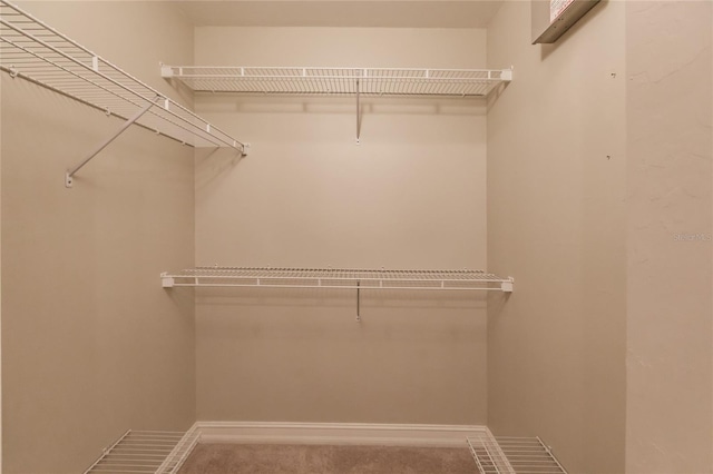 view of walk in closet