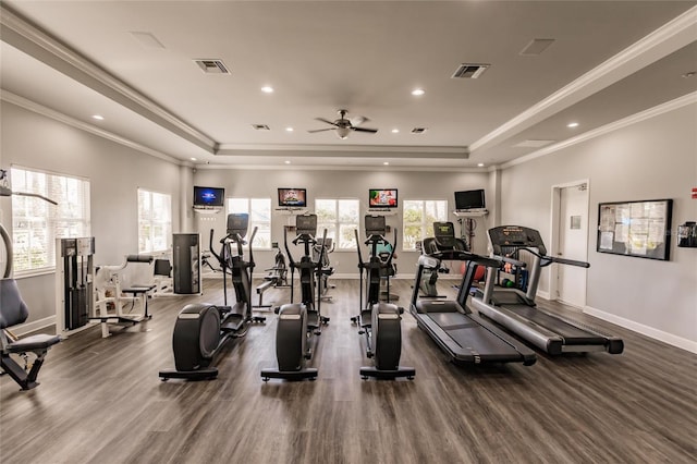 exercise room with ornamental molding, a raised ceiling, and a wealth of natural light