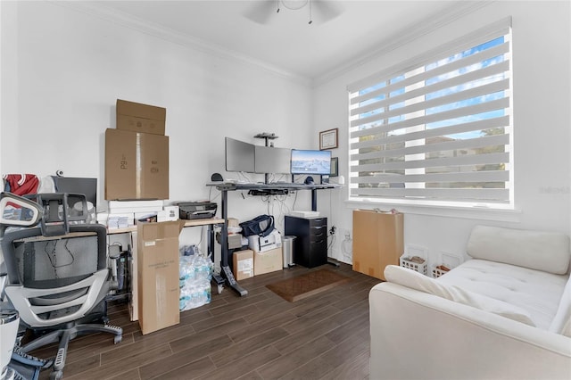 office area featuring ceiling fan and ornamental molding