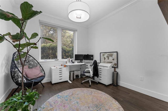 office with crown molding and dark wood-type flooring