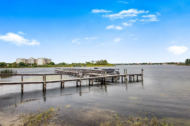 dock area featuring a water view