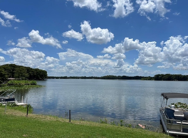 water view with a dock