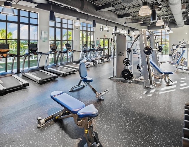 gym featuring a high ceiling