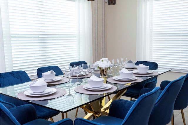 dining area with a wealth of natural light