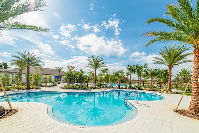 view of swimming pool with a patio