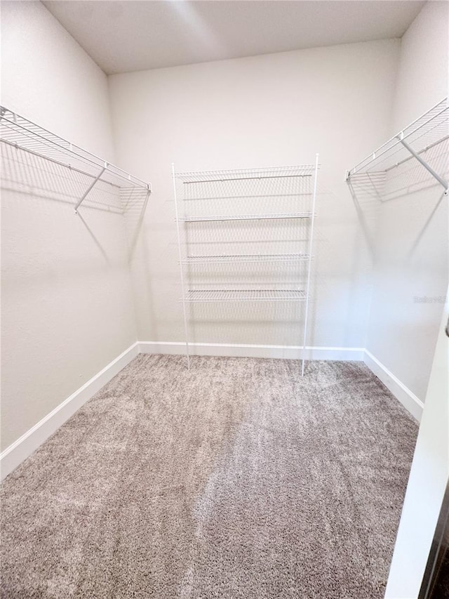 walk in closet with carpet