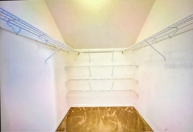 spacious closet featuring carpet