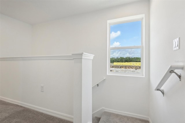 stairway featuring carpet flooring