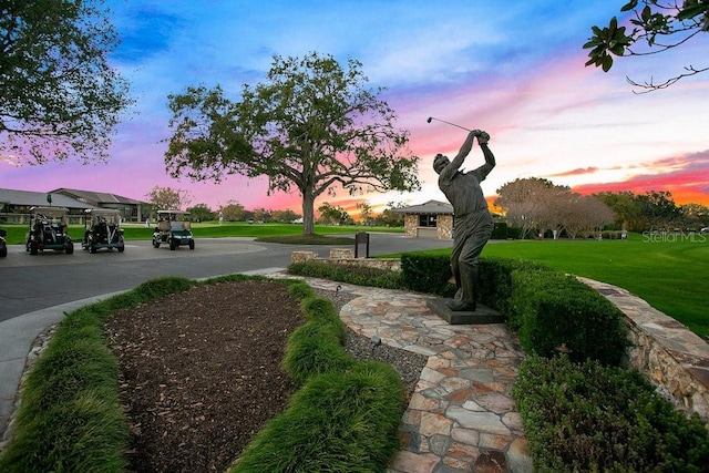 view of home's community featuring a yard