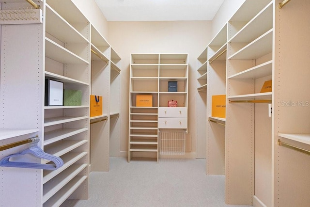 spacious closet with carpet floors