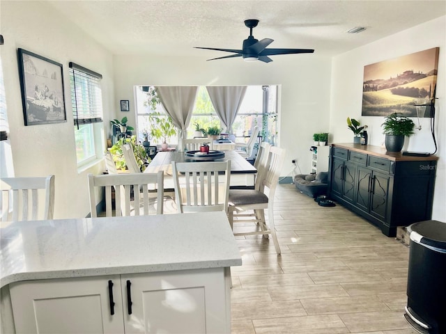 dining area featuring ceiling fan and a textured ceiling