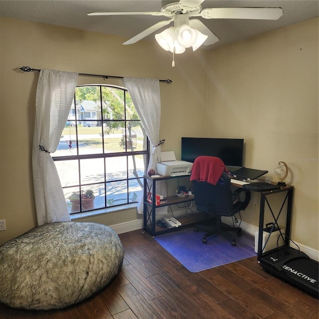 office featuring ceiling fan and dark hardwood / wood-style flooring