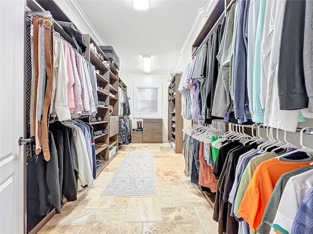 view of walk in closet