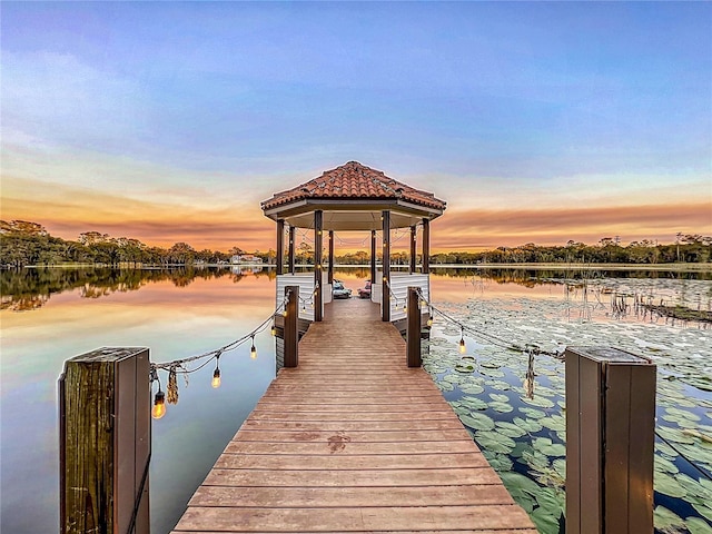 dock area featuring a water view