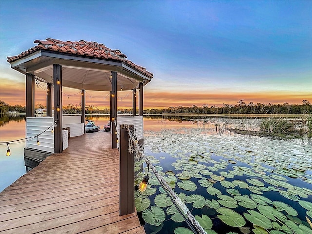 dock area featuring a water view