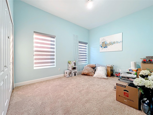 recreation room featuring carpet floors