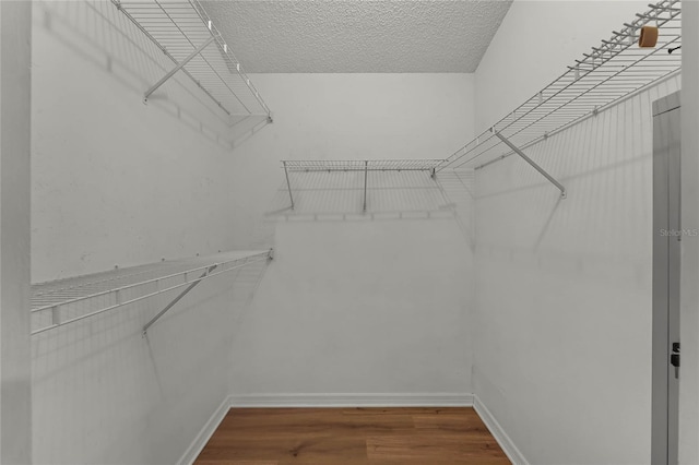 spacious closet featuring hardwood / wood-style flooring