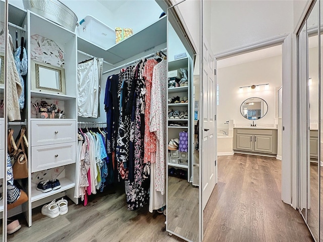 walk in closet with a sink and wood finished floors