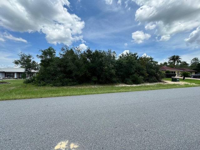 SW 48th, Ocala, FL 34473 - photo 3