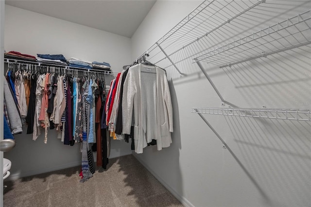 walk in closet featuring carpet flooring