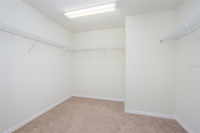 walk in closet featuring light carpet