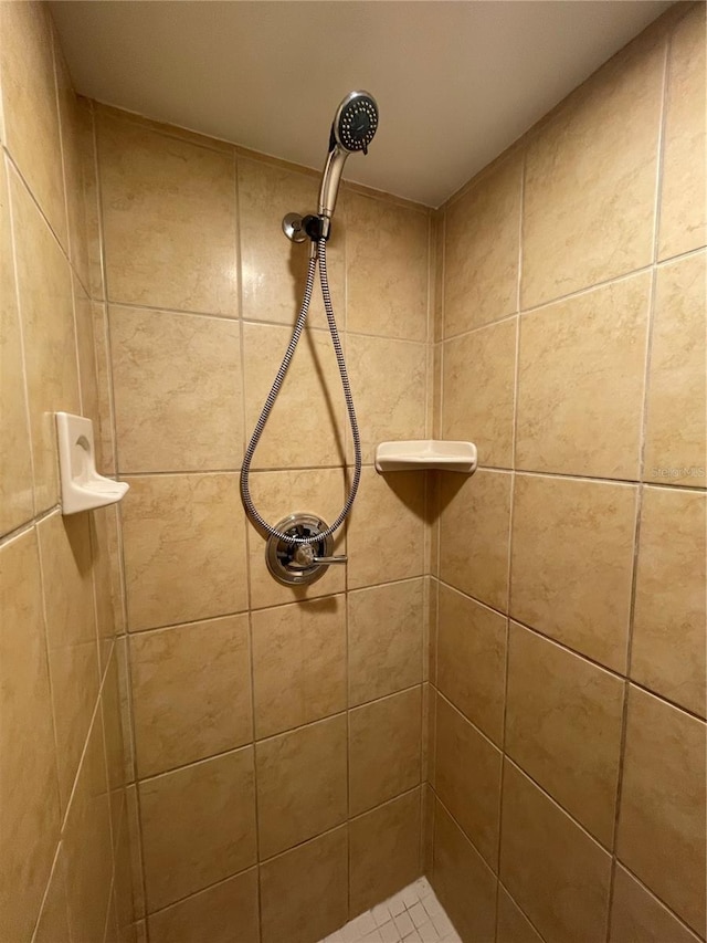 interior details featuring tiled shower