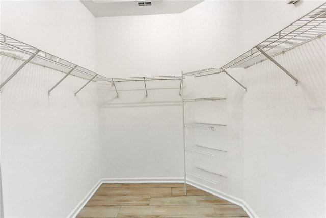 spacious closet featuring wood-type flooring