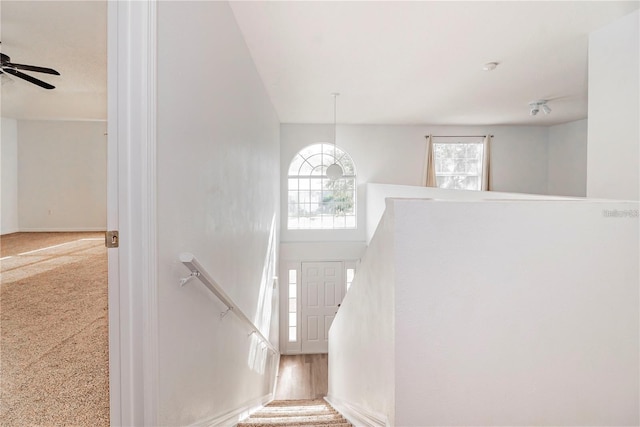 stairs featuring carpet floors and ceiling fan