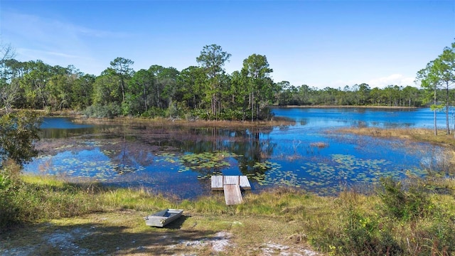 view of water feature featuring a boat dock