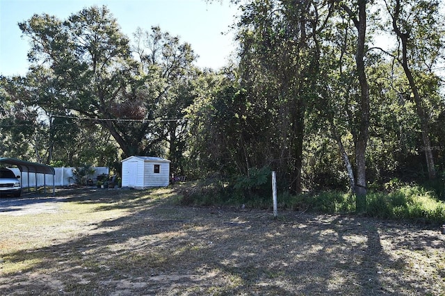 view of yard with a carport and a storage shed