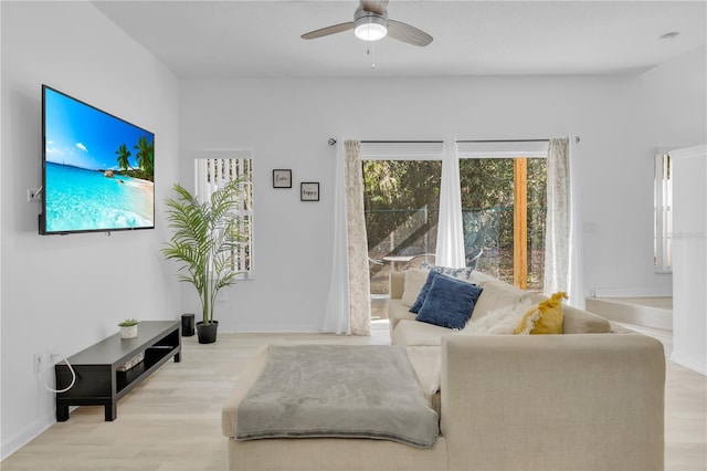 living room with ceiling fan and light wood-type flooring