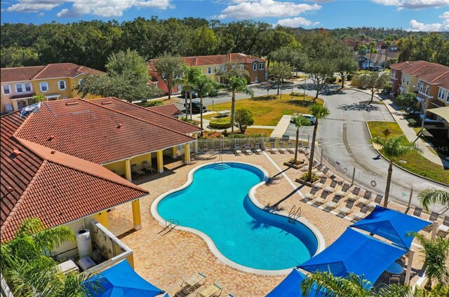 view of pool featuring a patio