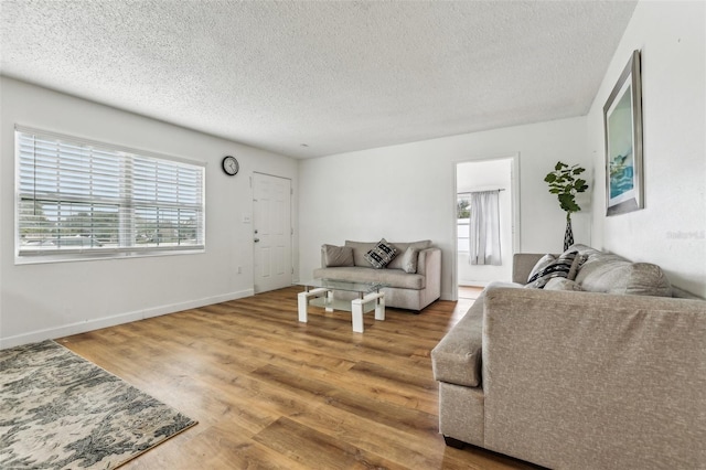 living room featuring hardwood / wood-style floors, a textured ceiling, and a wealth of natural light